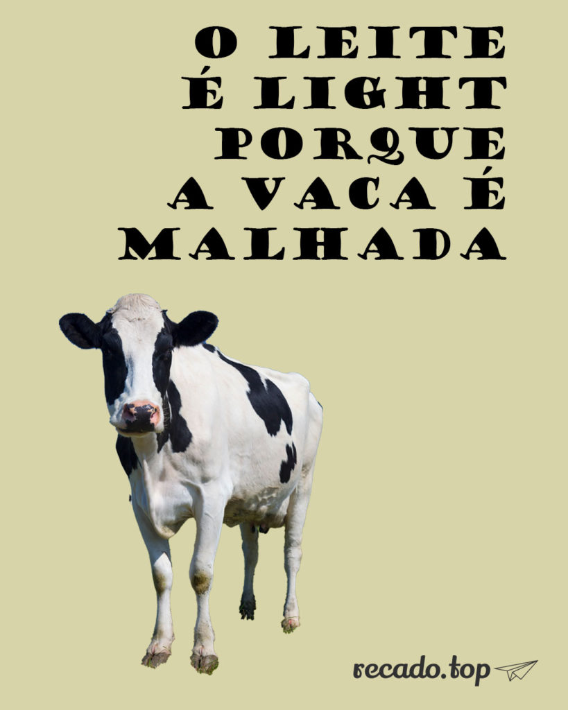 O leite é light porque a vaca é malhada.