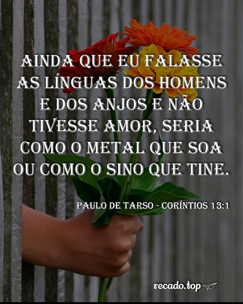 Ainda que eu falasse as línguas dos homens e dos anjos e não tivesse amor, seria como o metal que soa ou como o sino que tine